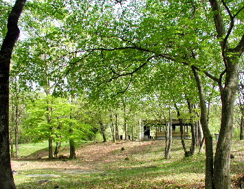 西蔵王公園キャンプ場