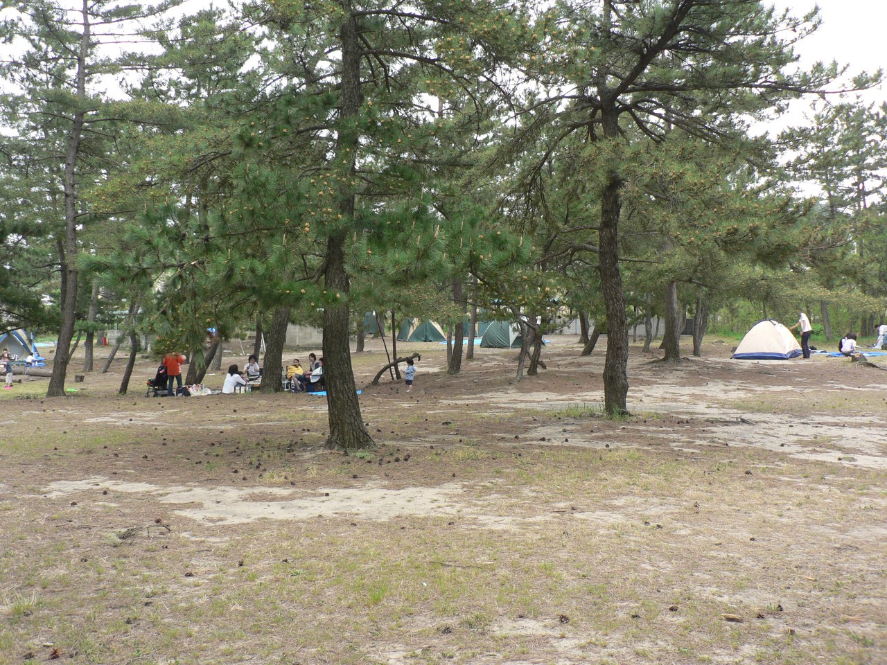 柳茶屋キャンプ場